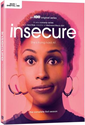 Link-to-Insecure-TV-show-in-the-library-catalog