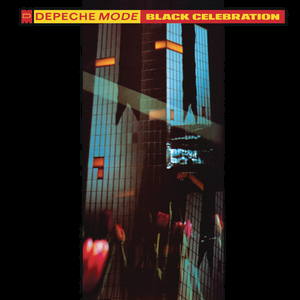 Link-to-Black-Celebration-in-the-library-catalog